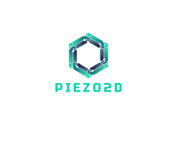 Piezo2D_FullLogo_Transparent